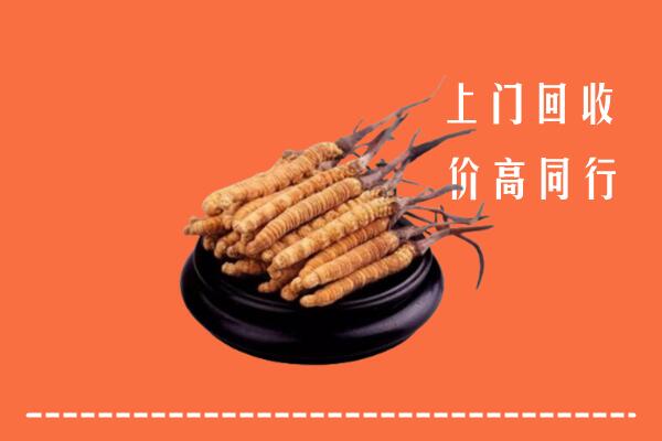 附近收购：电白区冬虫夏草回收多少钱每克
